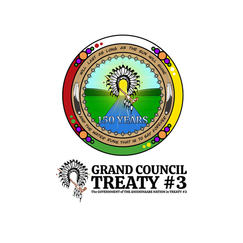 Treaty 3 Council (Lake of the Woods First Nations)